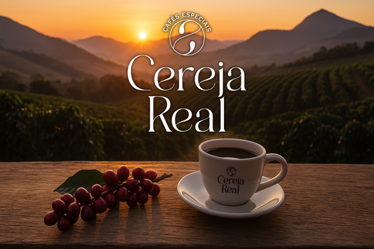 O que é café especial? Descubra por que ele vale cada gole