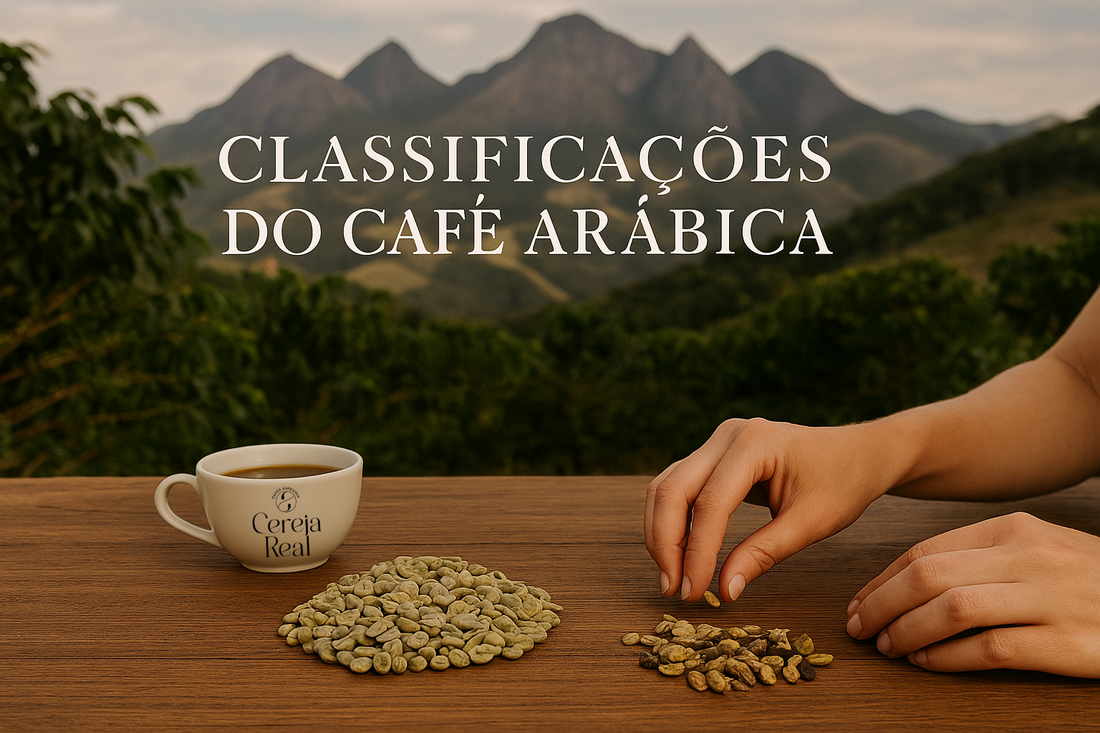 ☕ Entenda as Classificações do Café Arábica: Do Tradicional ao Especial